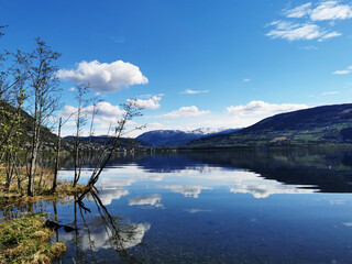灵活间隔多功能 二房一厅设计巧妙变布局